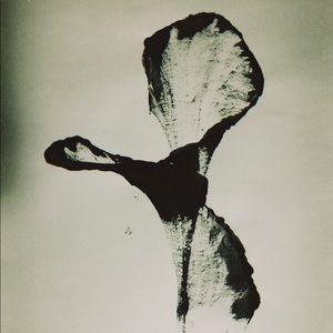 Meet your Posher, Yalithzel